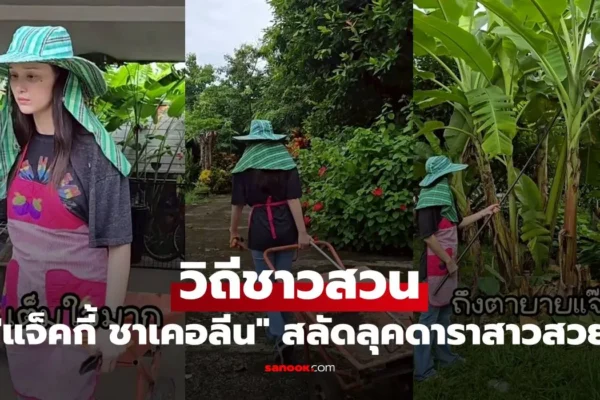 แจ็คกี้ ชาเคอลีน
