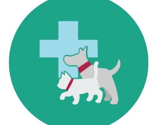 โรงพยาบาลสัตว์กรุงเทพ @กาญจนาภิเษก โรงพยาบาลสัตว์ บางใหญ่