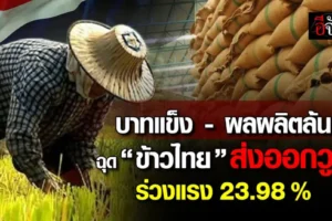 ข้าวไทย