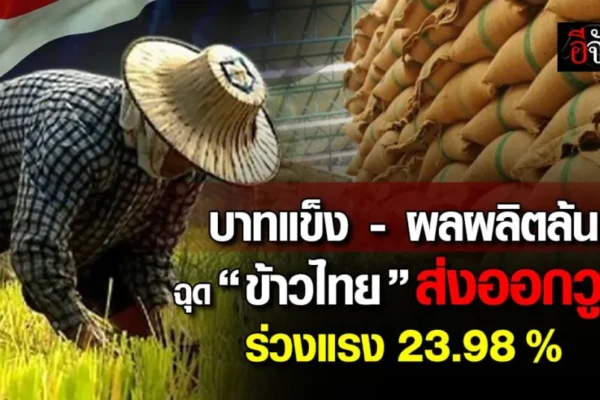บาทแข็ง-ผลผลิตล้น ฉุด ข้าวไทย ส่งออกวูบ -23.98% ข้าวไทย