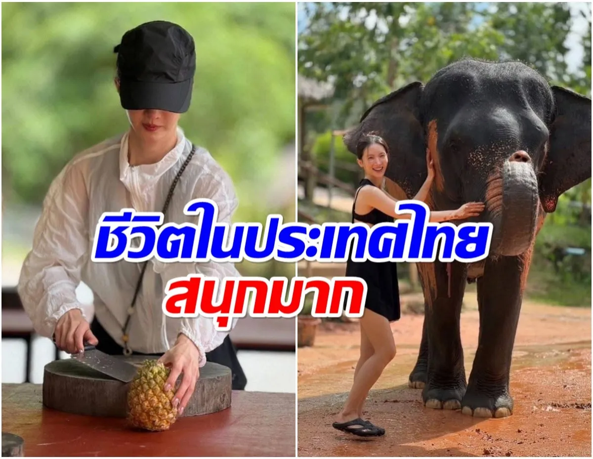จิน เฉิน