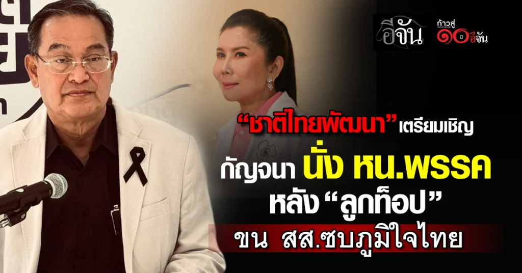 ชาติไทยพัฒนา