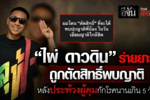 ไผ่ ดาวดิน